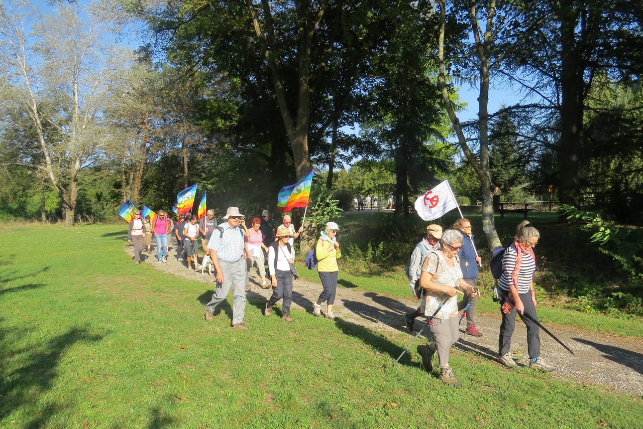 Dijon Marche 24092016 11