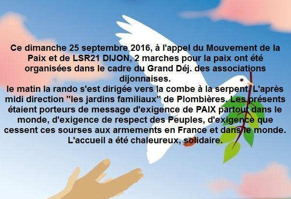 Dijon Marche 24092016 1